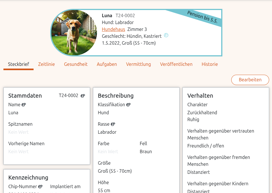 Steckbrief für einen Hund