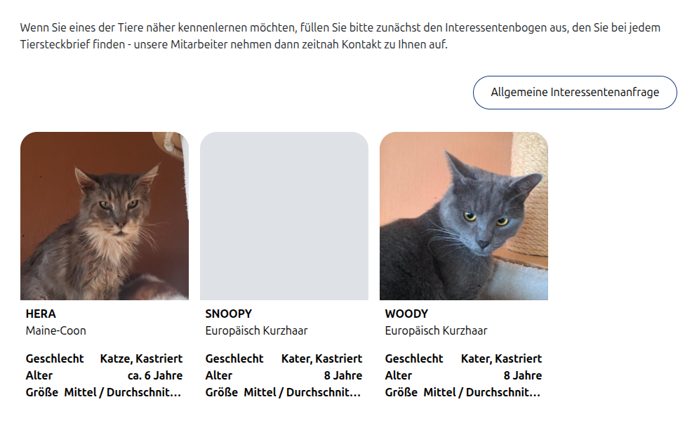 Tiere auf der Webseite