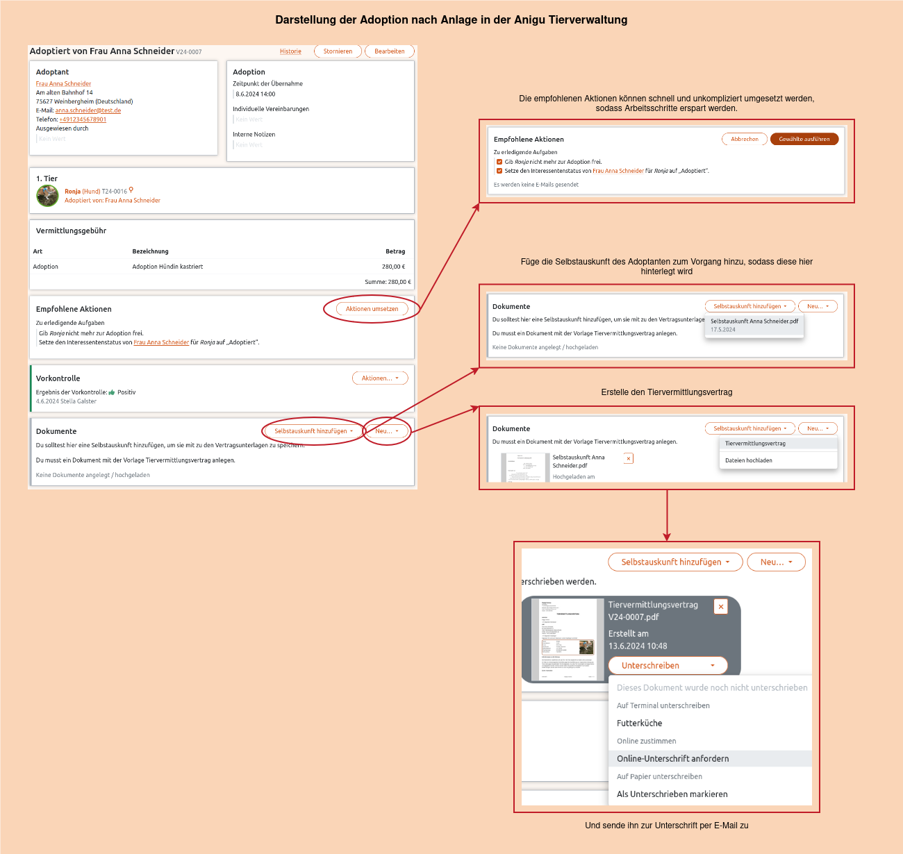Der Vorgang Adoption in der Anigu Tierverwaltung