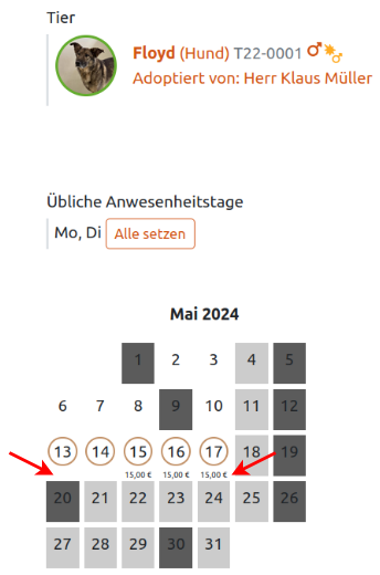 Abbildung der gebuchten Betreuungstage im Kalender der Tierverwaltung