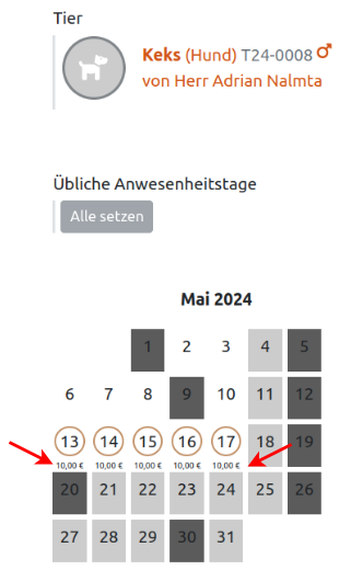 Abbildung der gebuchten Betreuungstage im Kalender der Tierverwaltung