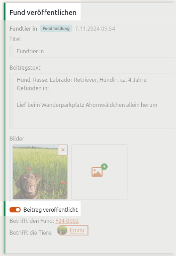 Fundtier aus der Anigu Tierverwaltung heraus auf der Webseite veröffentlichen