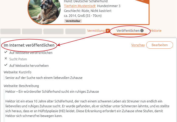 Text für Veröffentlichung eines Vermittlungstieres in der Anigu Tierverwaltung erfassen