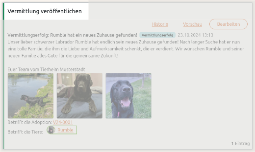 Vermittlungserfolg aus der Anigu Tierverwaltung heraus auf der Webseite veröffentlichen